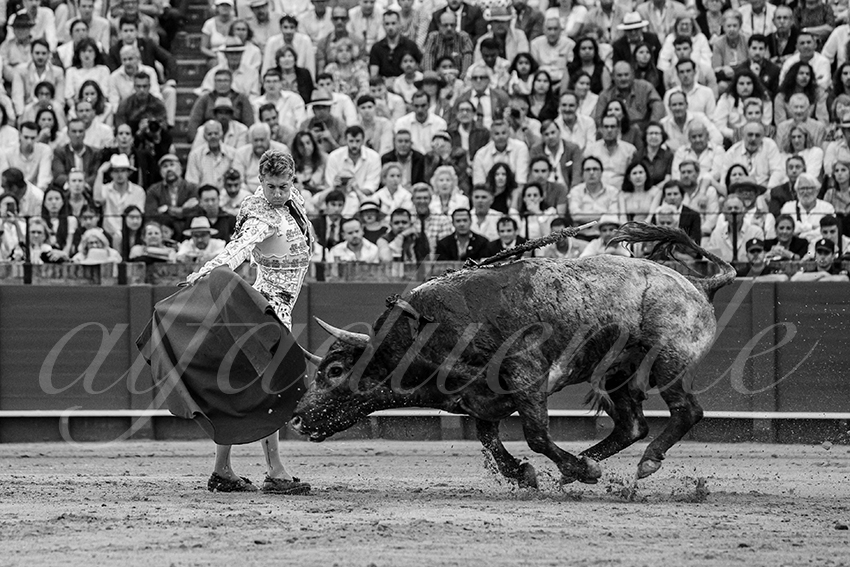 20240421 sevilla 027 bd