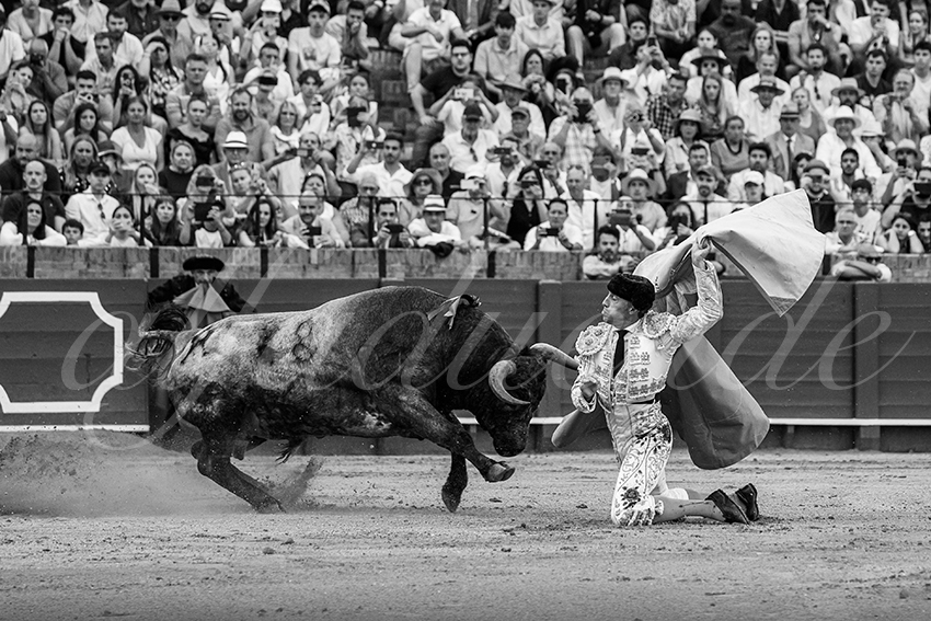 20240421 sevilla 025 bd