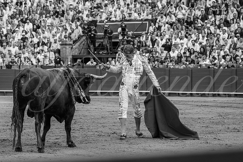 20240421 sevilla 021 bd