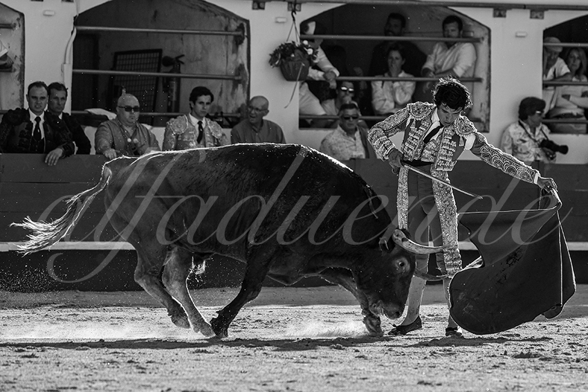 20240511 ales 031 bd