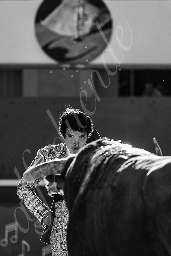 20240511 ales 030 bd