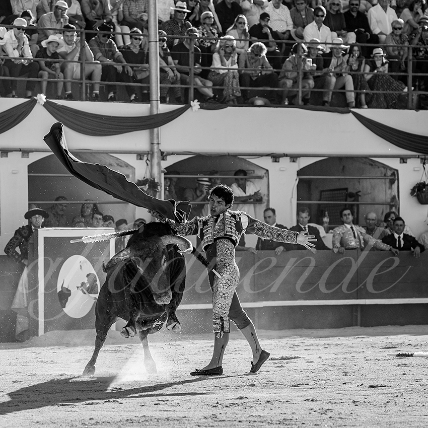 20240511 ales 029 bd