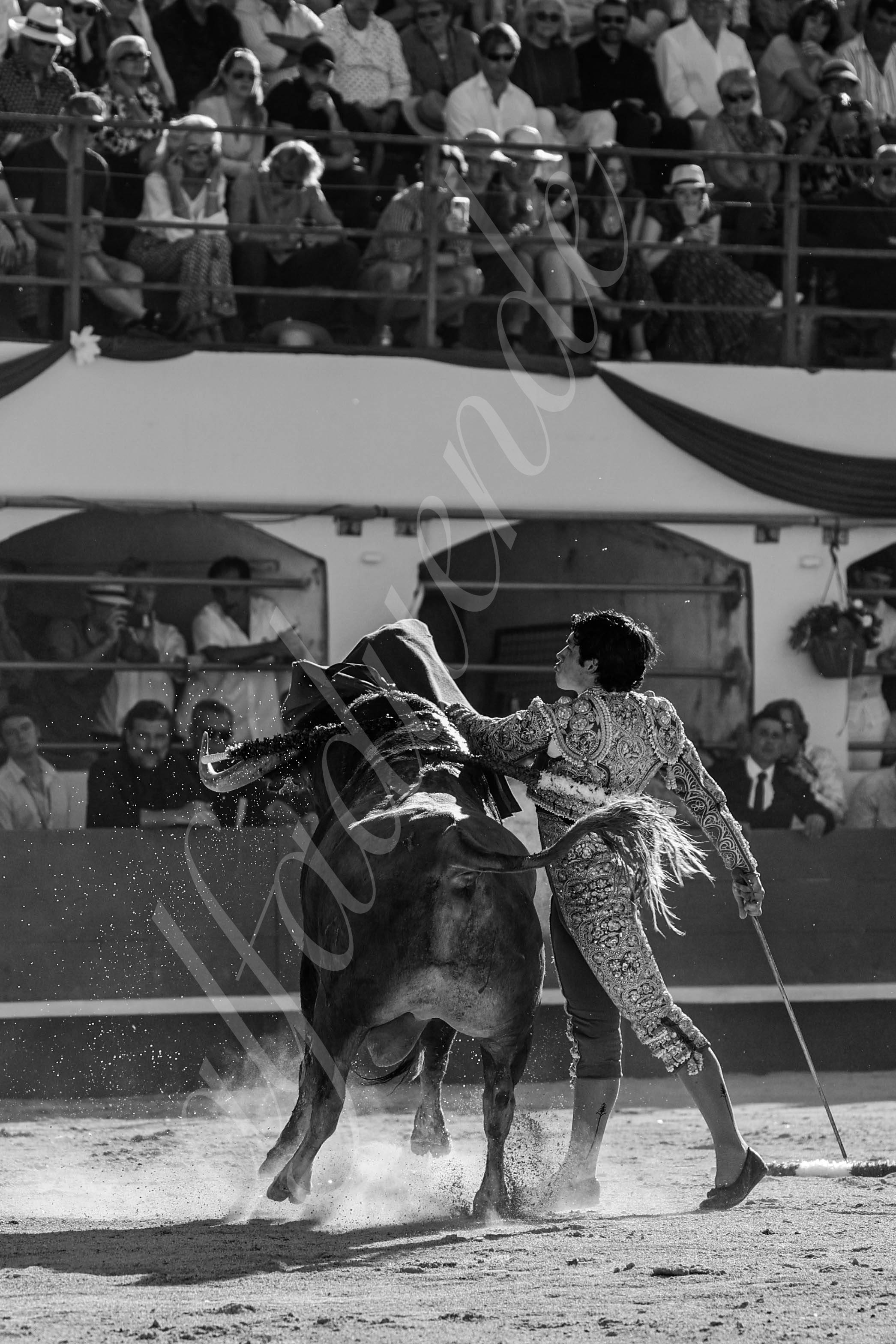 20240511 ales 028 bd