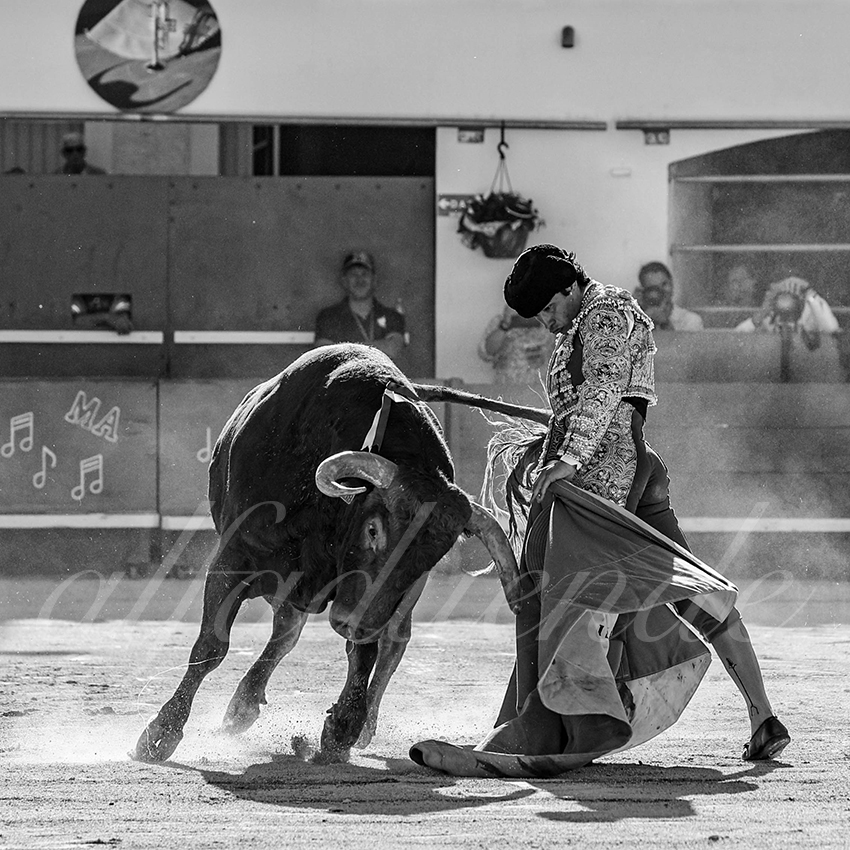 20240511 ales 026 bd