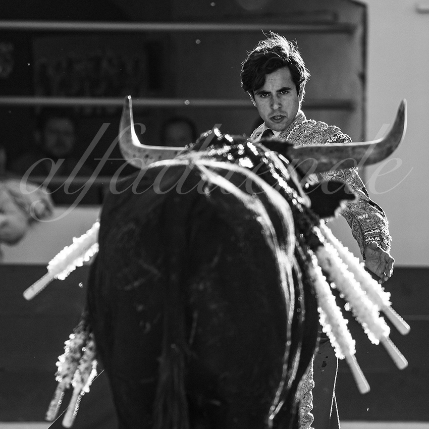 20240511 ales 025 bd