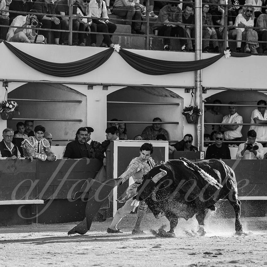 20240511 ales 024 bd