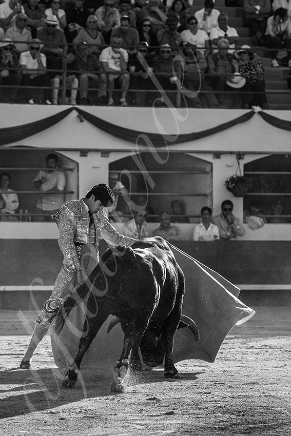 20240511 ales 023 bd