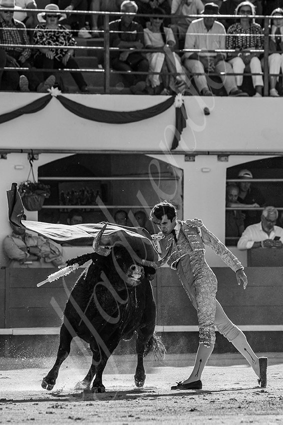 20240511 ales 021 bd