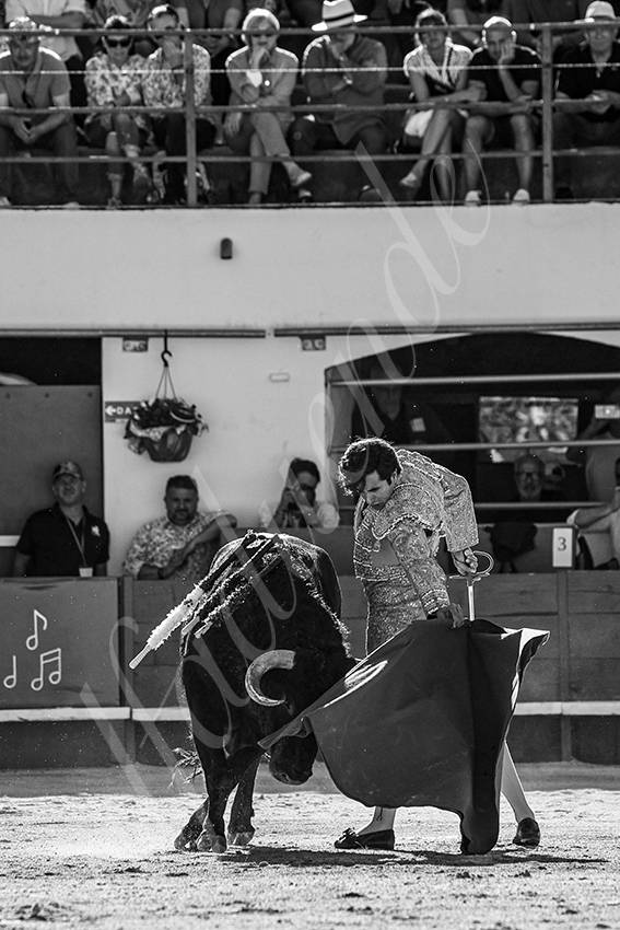 20240511 ales 020 bd