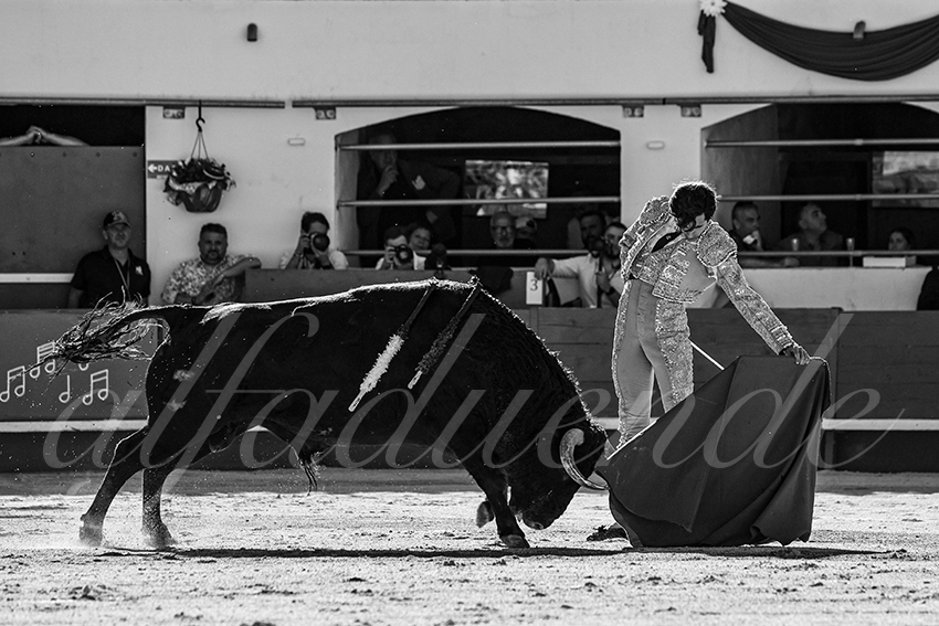 20240511 ales 019 bd