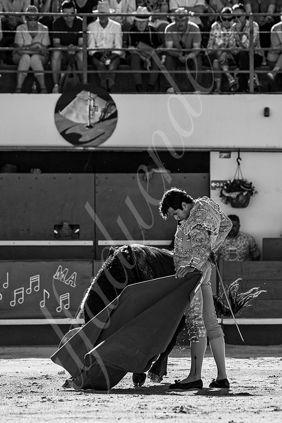 20240511 ales 017 bd