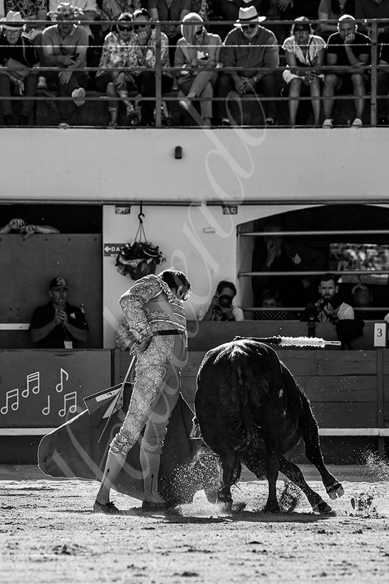 20240511 ales 016 bd