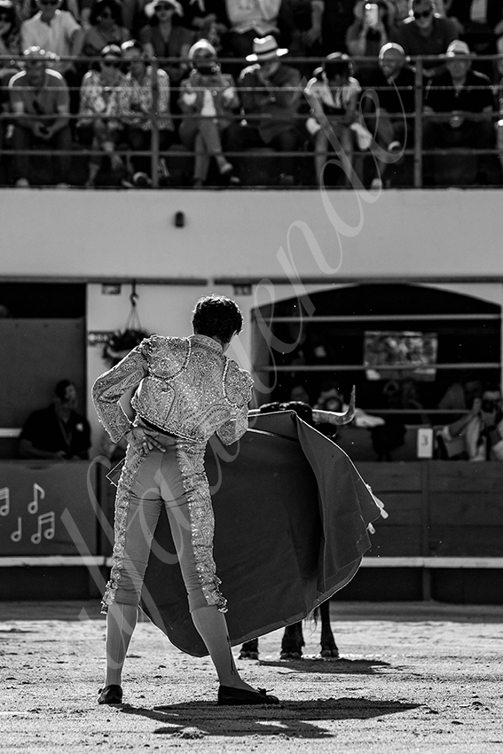 20240511 ales 015 bd