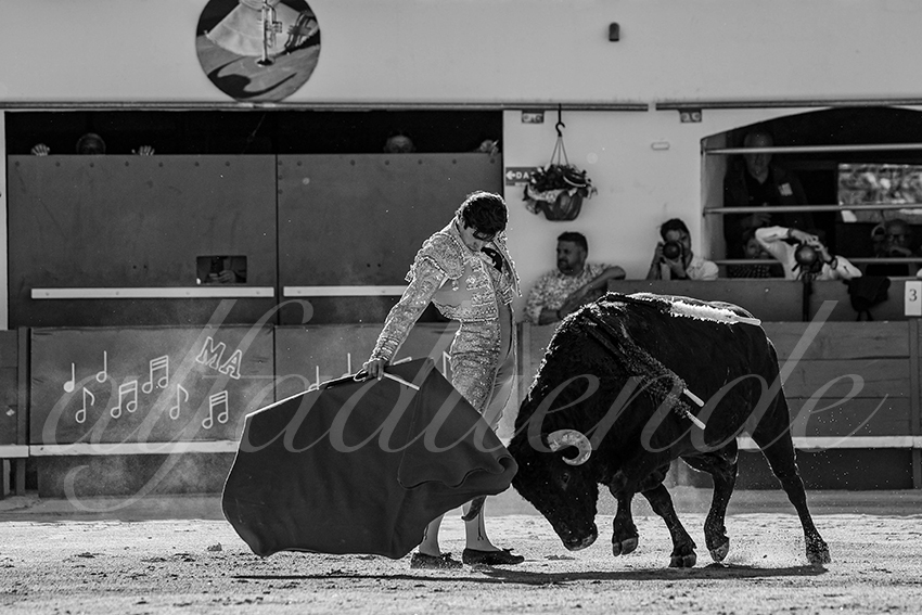 20240511 ales 014 bd