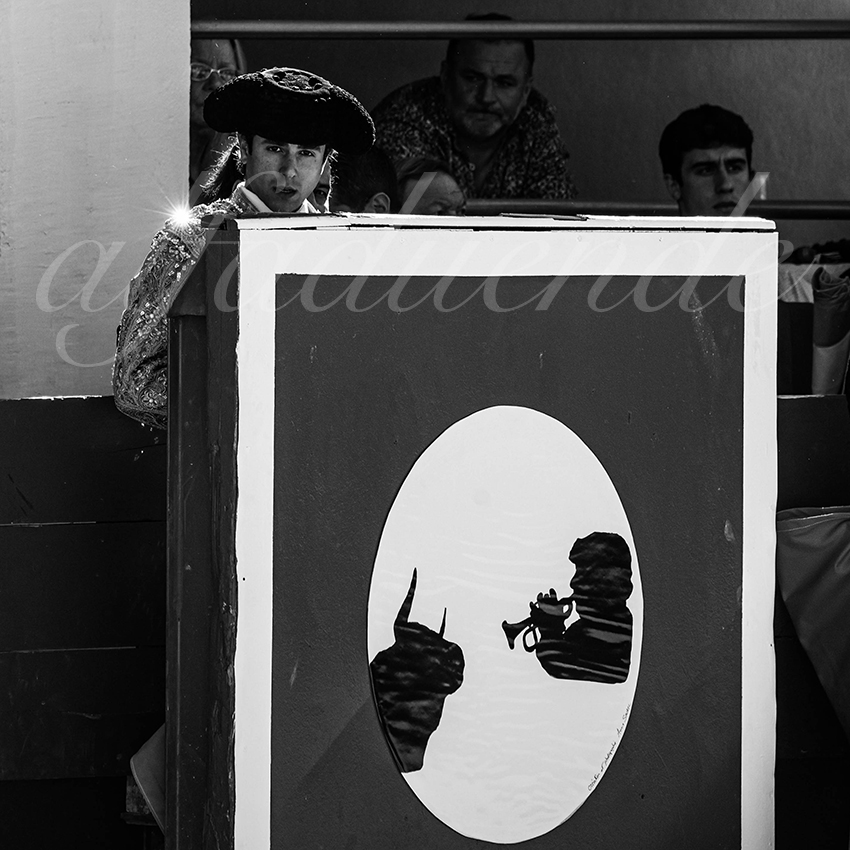 20240511 ales 012 bd