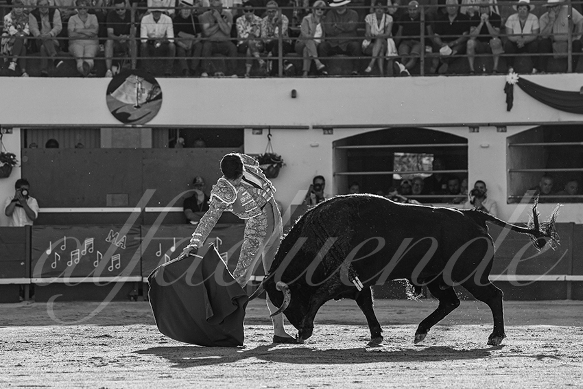 20240511 ales 009 bd