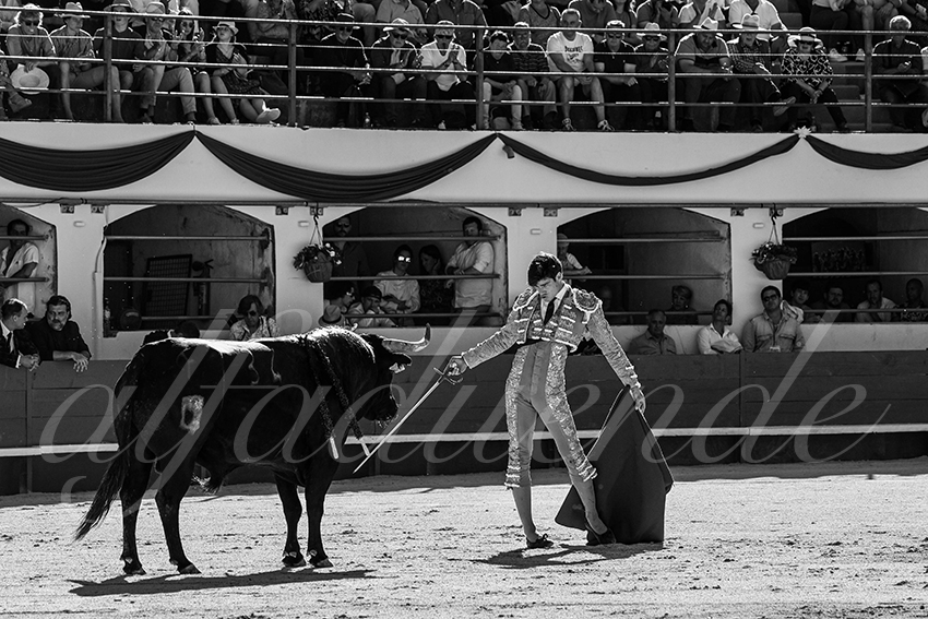 20240511 ales 008 bd