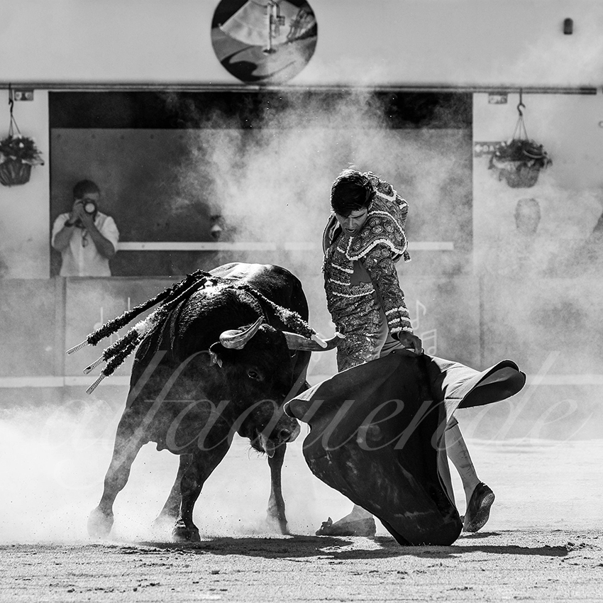 20240511 ales 006 bd