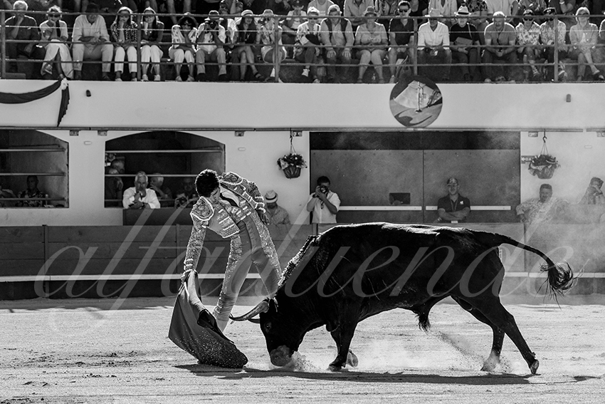 20240511 ales 005 bd