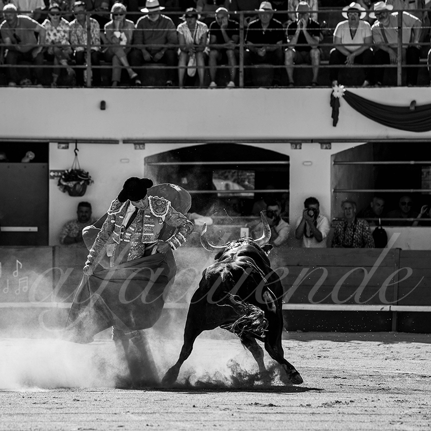 20240511 ales 004 bd