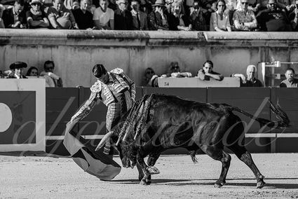 20240517 nimes 019 bd