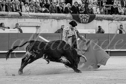 20240517 nimes 017 bd