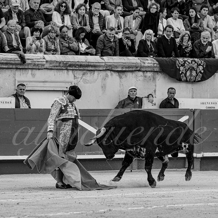 20240517 nimes 016 bd