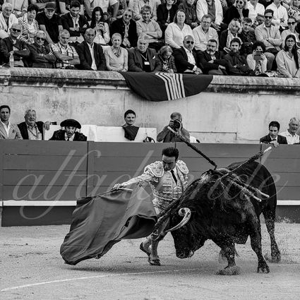 20240517 nimes 003 bd