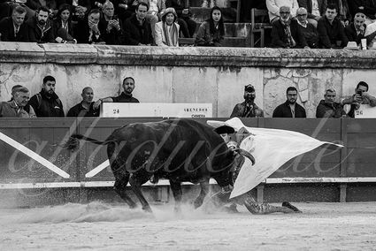 20240518 nimes 039 bd