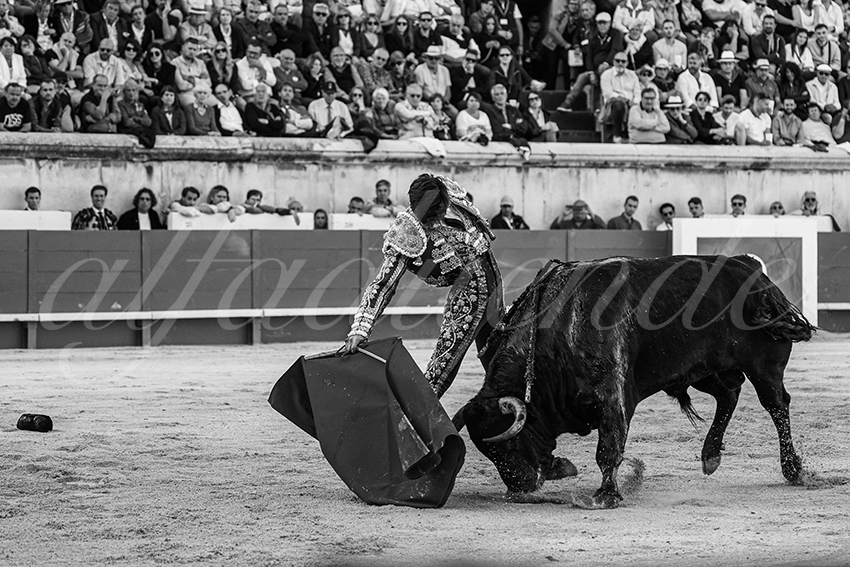 20240518 nimes 032 bd