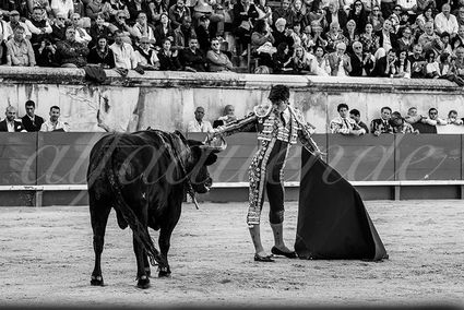 20240518 nimes 028 bd