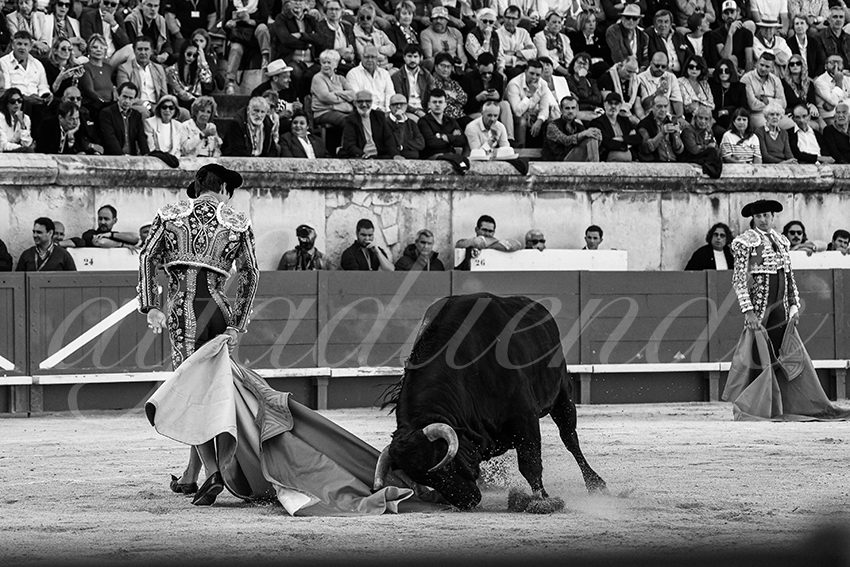 20240518 nimes 024 bd