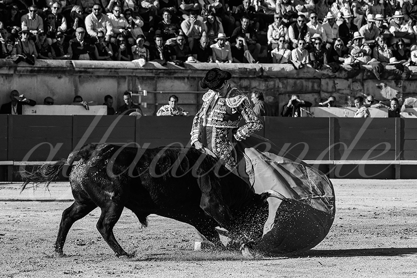 20240518 nimes 020 bd