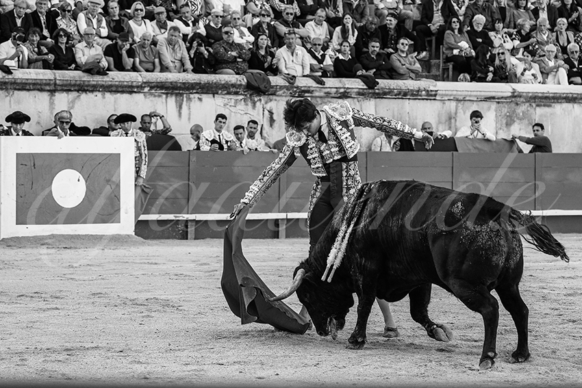 20240518 nimes 016 bd