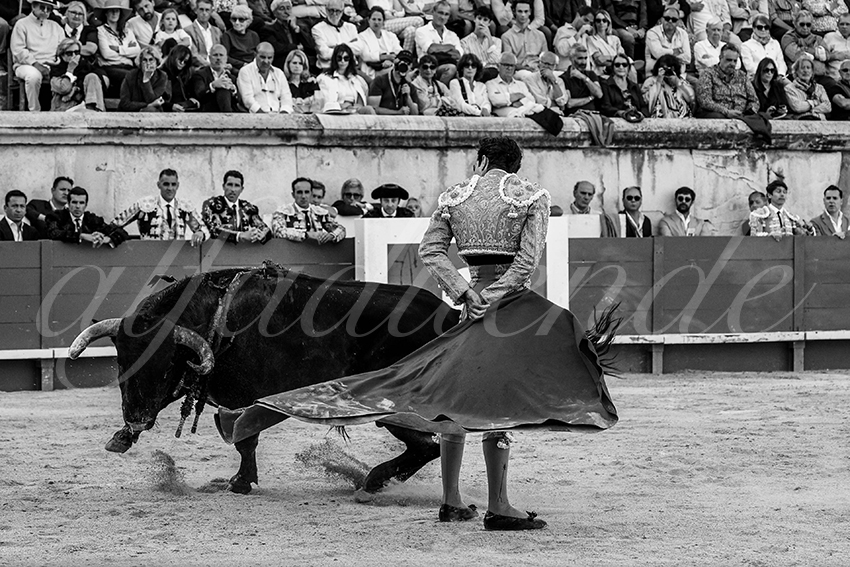 20240519 nimes 031 bd