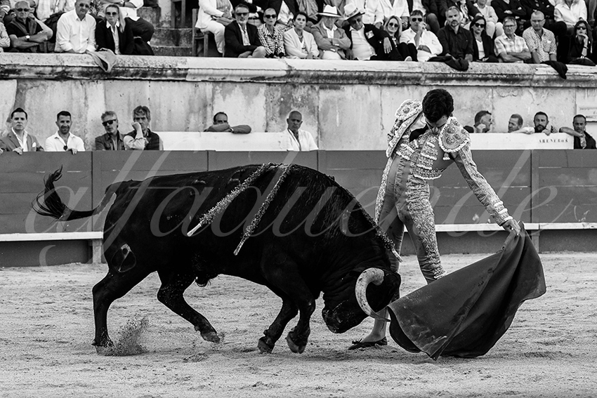 20240519 nimes 026 bd