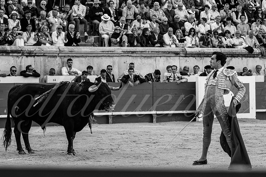 20240519 nimes 025 bd