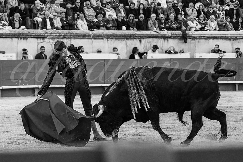 20240519 nimes 018 bd