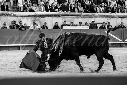 20240519 nimes 017 bd