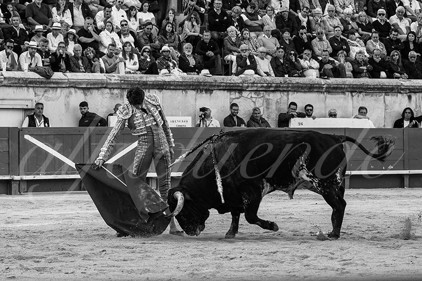 20240519 nimes 012 bd