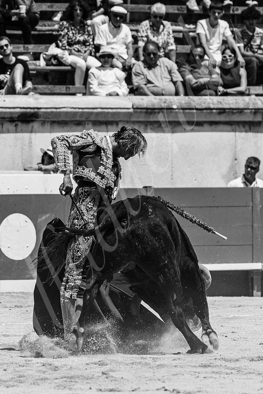 20240519 nov nimes 009 bd