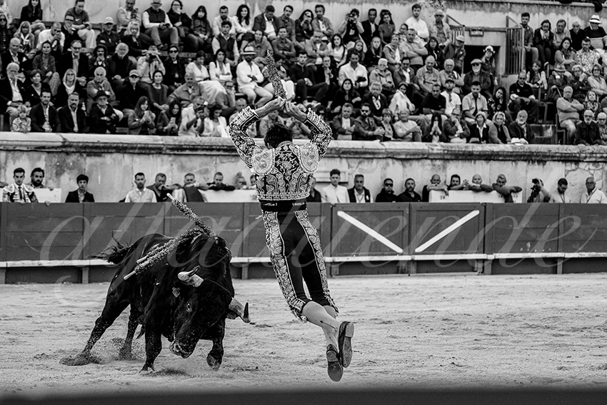 20240520 nimes 019 bd