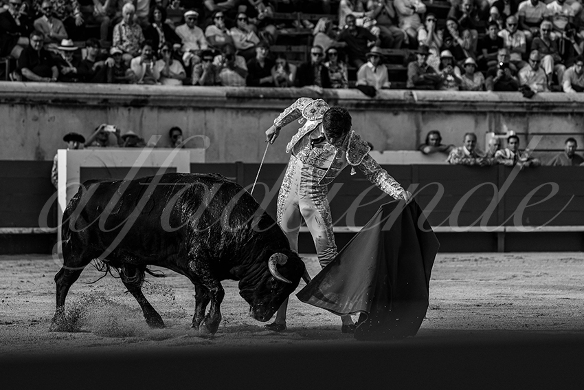 20240520 nimes 003 bd