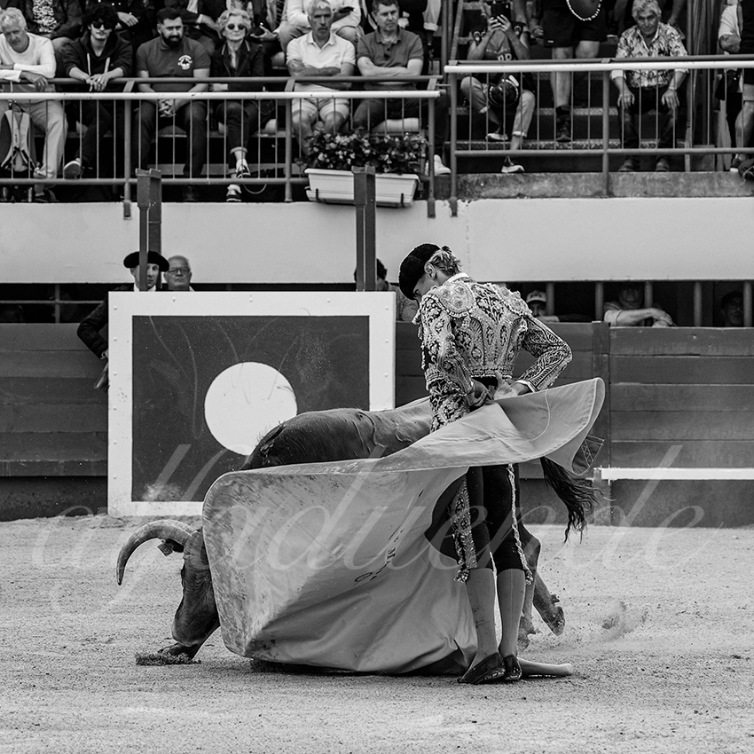 20240601 mauguio 008 bd