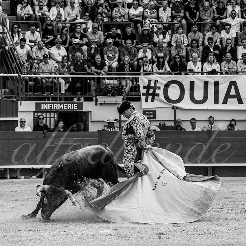 20240601 mauguio 006 bd