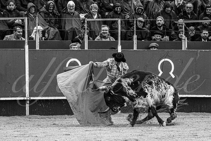 202406022 la brede 013 bd