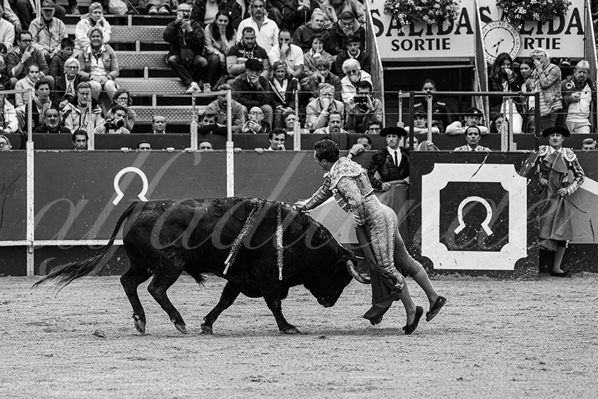 202406022 la brede 011 bd