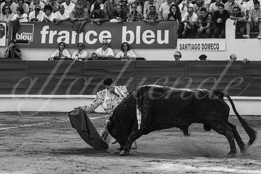 20240623 st sever 016 bd