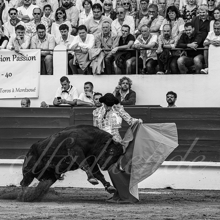 20240623 st sever 015 bd