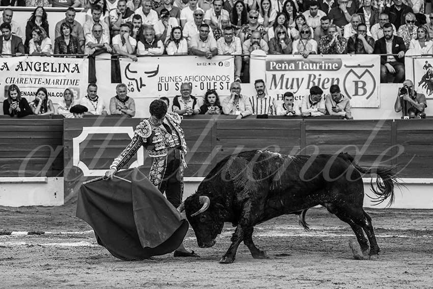 20240623 st sever 013 bd